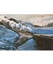 FoSCL 2025 Christmas Card - Pack of 4