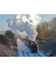 FoSCL 2024 Christmas Card - Single Card