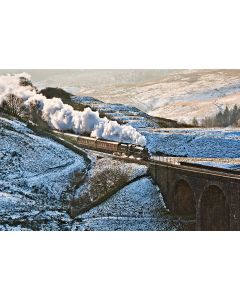 FoSCL 2025 Christmas Card - Pack of 4